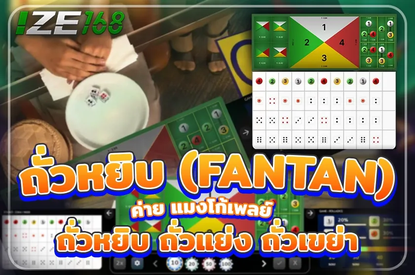 ถั่วหยิบ fantan